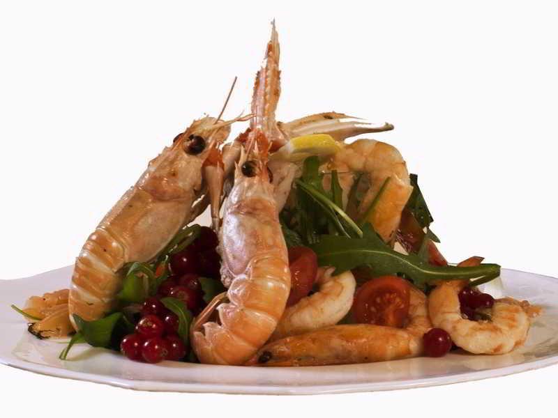 Hotel Vittoria Pesaro Esterno foto A prawn salad